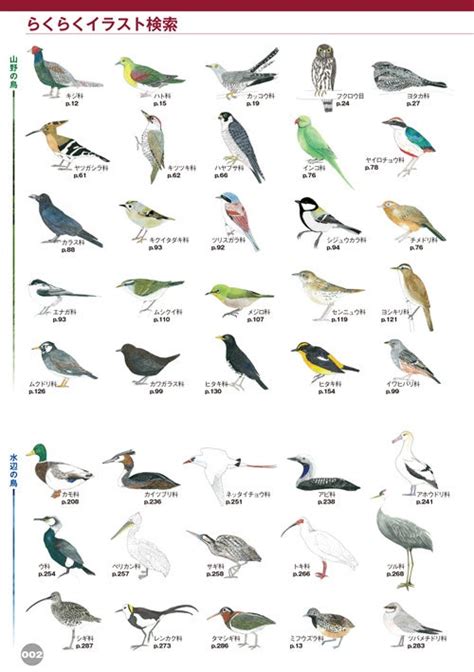 日本で見られる野鳥をほぼ網羅！【♪鳥くんの比べて識別！野鳥図鑑670 第4版】ついに発売！ 株式会社 文一総合出版のプレスリリース