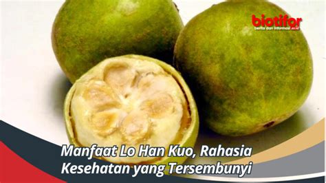 Manfaat Lo Han Kuo Rahasia Kesehatan Yang Tersembunyi Biotifor