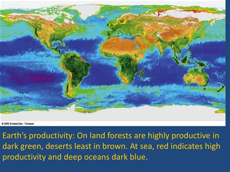 Ppt Chapter 6 Biomes And Aquatic Ecosystems Powerpoint Presentation Id2935770