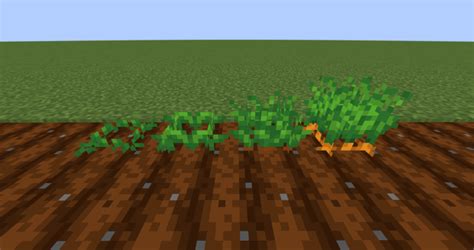 【マイクラ】畑の作り方・全15種類の作物の育て方【農業の基本】 Mineblog