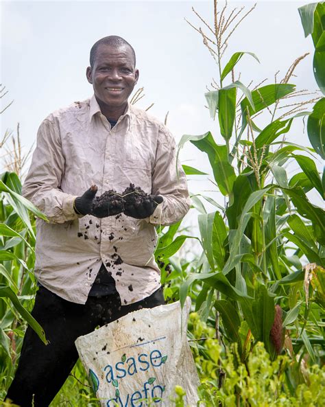 As Fertilizer Prices Soar Farmers Turn To Asaase Gyefo Organic Compost