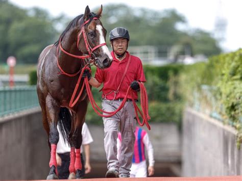 【メイクデビュー新潟2rレース後コメント】ジャスパーディビネ松若風馬騎手ら 競馬ニュース Netkeiba