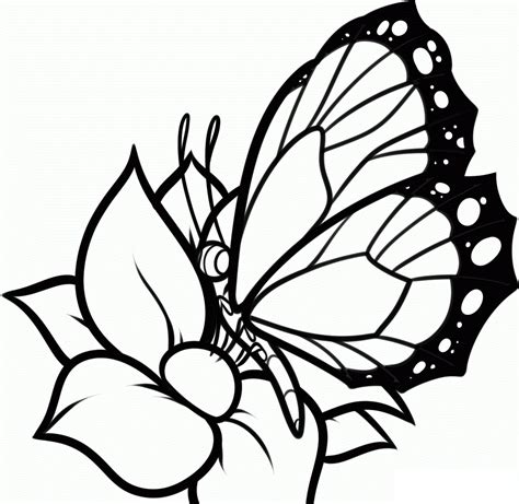 Free Printable Butterfly Coloring Pages For Kids