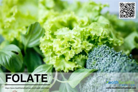 What is Folate? | Health Benefits