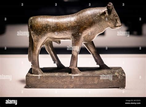 Apis Bull Bronze Late Period Egypt Collection Of The British Museum