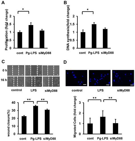 Ijms Free Full Text Porphyromonas Gingivalis Lipopolysaccharides