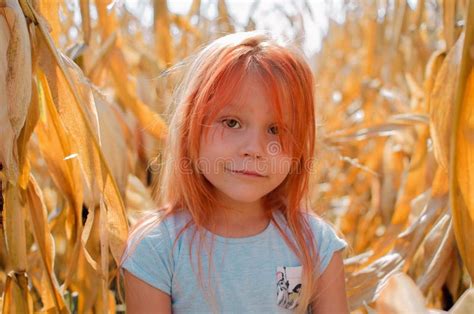 year  caucasian girl   farm happy cute girl stock