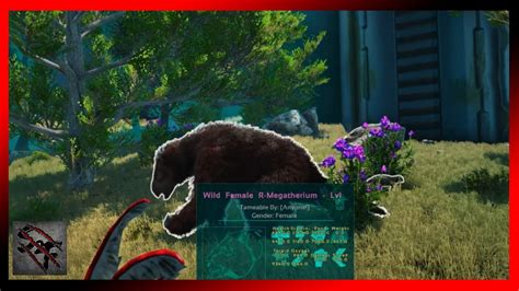 R Megatherium Taming Pt 2 ARK Survival Evolved Ep 20 YouTube