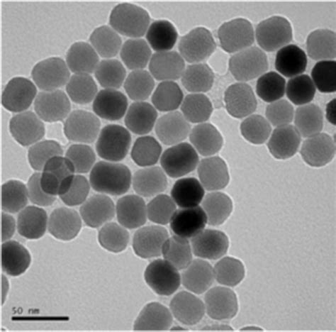 Properties Of Gold Nanoparticles Doccheck