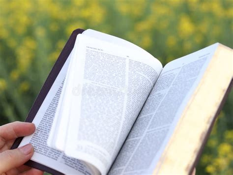 Mujer Cristiana Leyendo Libro Sagrado De La Biblia Y Pasando P Ginas En