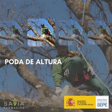 Curso Poda en Altura SEPE AGAR003PO Savia Formación