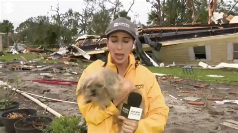 News Crew Locates Lost Dog In Hurricane Debris After Reporting On