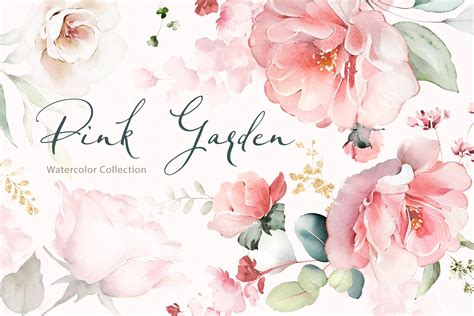 Pink Watercolor roses | Decorative Illustrations ~ Creative Market