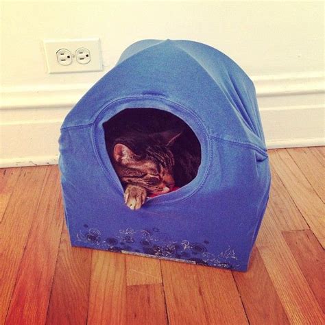 Diy Cat Tent Made With Wire Hangers Box And A T Shirt Cat Tent