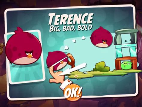 Terencegallery Angry Birds Wiki Fandom