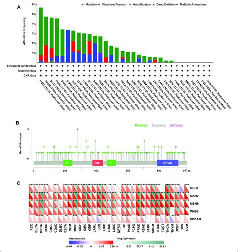 Genomic Alterations Of Rbm15 In Human Pan Cancer A The Alteration Download Scientific