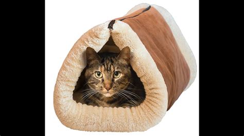 Review: Kitty Shack - 2 in 1 Tube Cat Mat and Bed, Pet Accessories ...