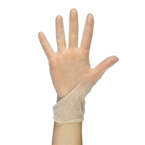 Powdered Clear Vinyl Gloves Extra Large Clear Extra Large Vinyl 1 X 100