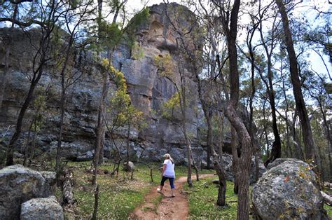 Goulburn River National Park Wollar Nsw Australia