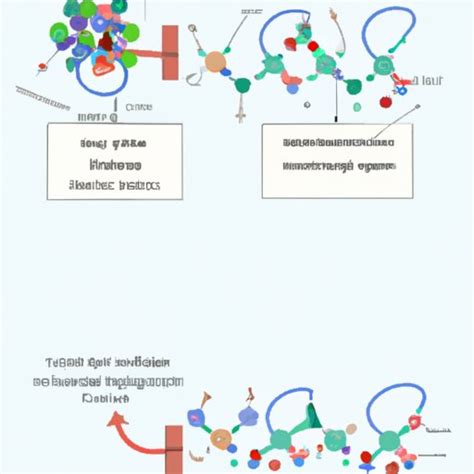 Exploring How Does Protein Synthesis Work A Step By Step Guide The