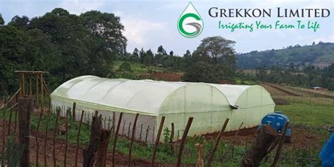 Greenhouse Polythene Sheet | 0711895635 | Grekkon Limited