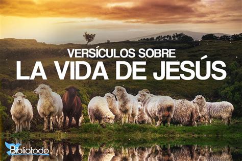 29 Versículos de la Biblia sobre la Vida de Jesús