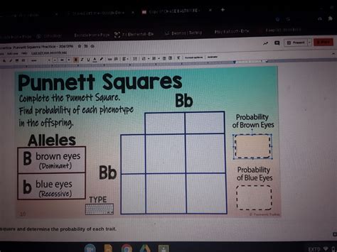 Answered: Punnett Squares Complete the Punnett… | bartleby