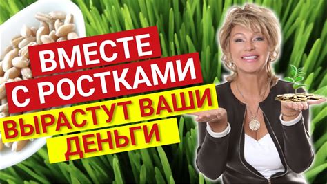 Супер мощный ритуал на деньги с ростками пшеницы. Прорастите свою ...