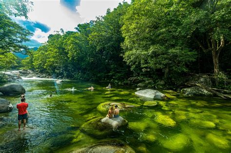 Wildlife Daintree Rainforest And Mossman Gorge Tour Musement