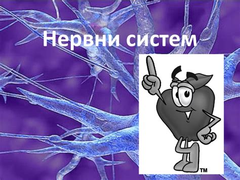 Нервни систем1