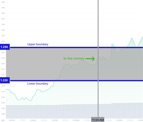 Binary Options Example Examples Of Digital Option Contracts