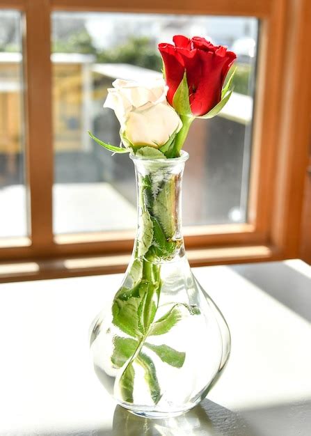 Premium Photo Close Up Of Rose In Glass Vase