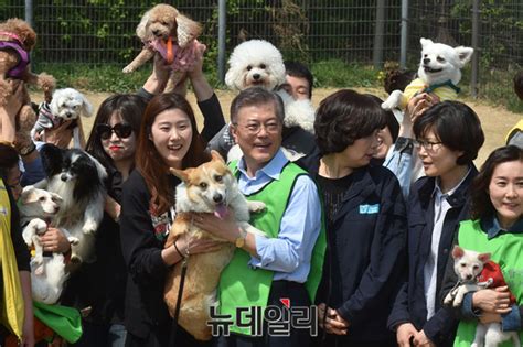 포토 반려동물 정책 발표 위해 반려견 놀이터 찾은 문재인 Save Internet 뉴데일리