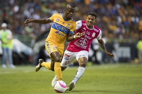 C Mo Ver Tigres Vs Le N En Vivo Por La Liga Mx Tudn Liga Mx Tudn