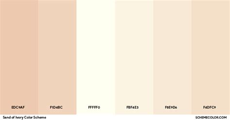 Sand Of Ivory Color Scheme Palettes SchemeColor