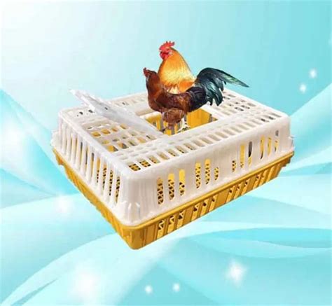 Live Poultry Carrier Crate Broiler Plastic Cage Chicken Capacity