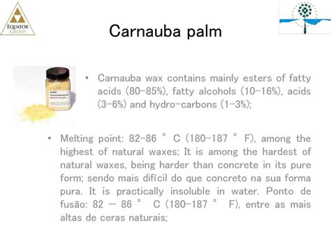 Carnaúba Wax ppt download