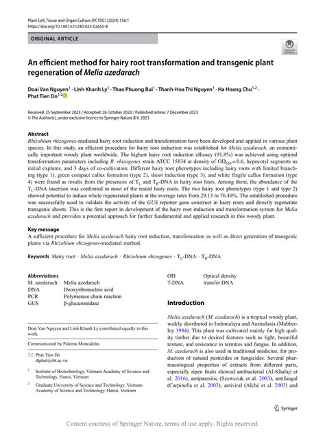 An Efficient Method For Hairy Root Transformation And Transgenic Plant