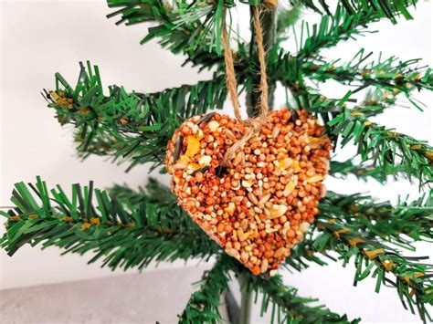 How To Make The Best Homemade Bird Seed Ornaments