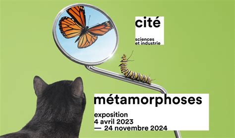 M Tamorphoses The Exhibition For Year Olds At The Cit Des Sciences