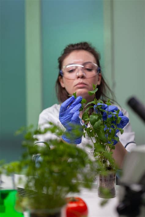 Botanist Researcher Woman Examining Green Sapling Observing Genetic