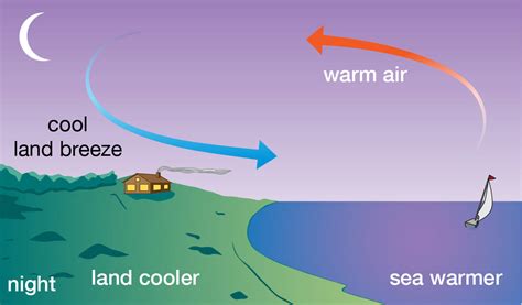 Understanding The Surf Wind Condition Forecast