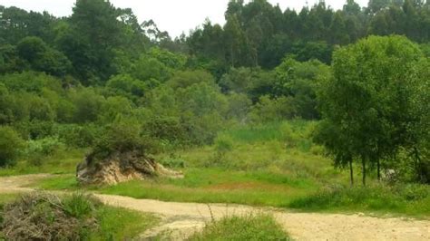 La Coordinadora Ecologista Presenta Alegaciones Al Proyecto Minero De