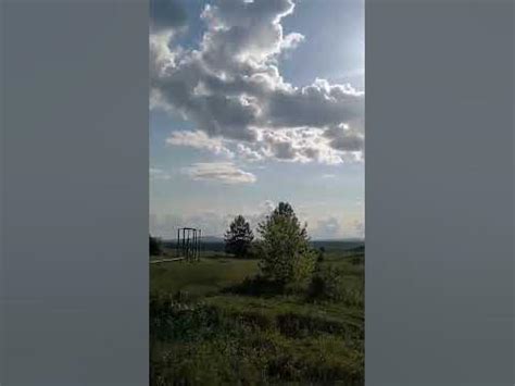 #дед и внуки# - YouTube
