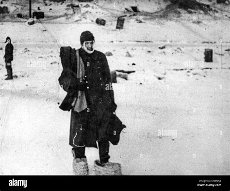 German Pows From Stalingrad