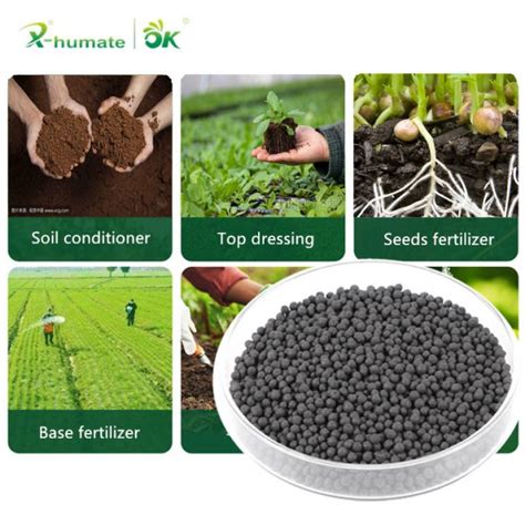 X Humate Humic Soil Granular Fertilizer Acido Humico