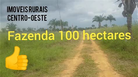 Fazenda A Venda Hectares Em Confresa Mato Grosso Zap