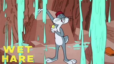 Wet Hare 1962 Looney Tunes Bugs Bunny Cartoon Short Film Review YouTube