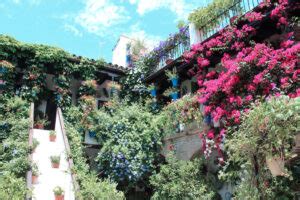 Best Hotels In Cordoba Spain Stay To Wander