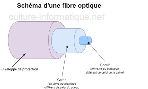 Top Imagen Qu Est Ce Que La Fibre Orange Fr Thptnganamst Edu Vn